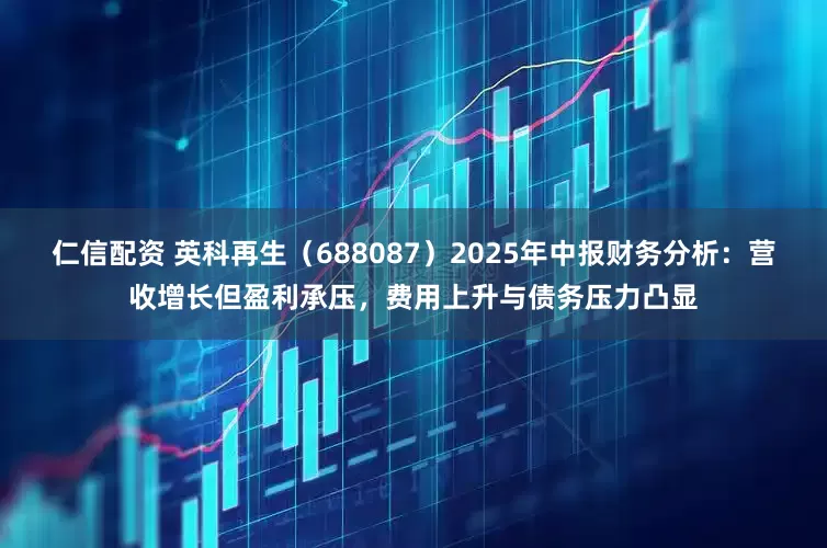 仁信配资 英科再生（688087）2025年中报财务分析：营收增长但盈利承压，费用上升与债务压力凸显